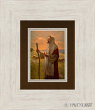 The Good Shepherd Open Edition Print / 5 X 7 Ivory 13 1/2 15 Art