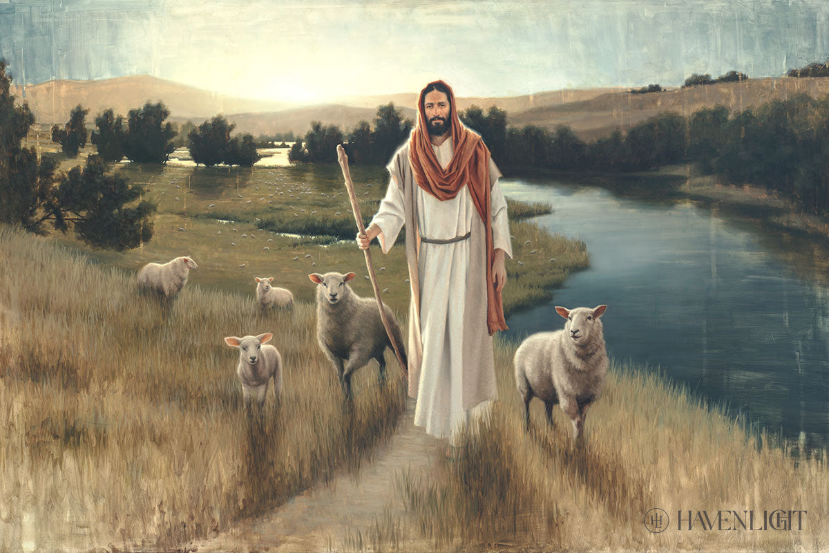 The Rescue Art